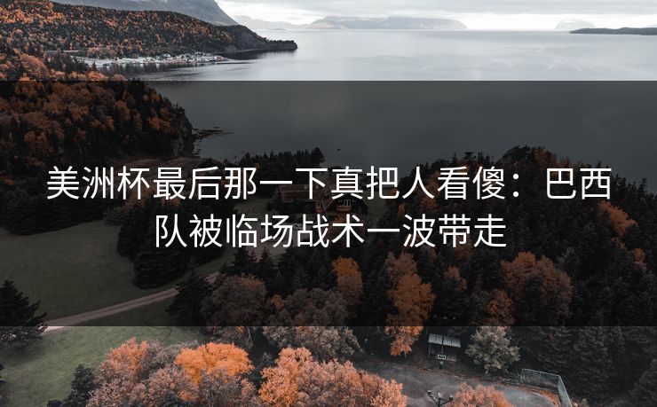 美洲杯最后那一下真把人看傻：巴西队被临场战术一波带走