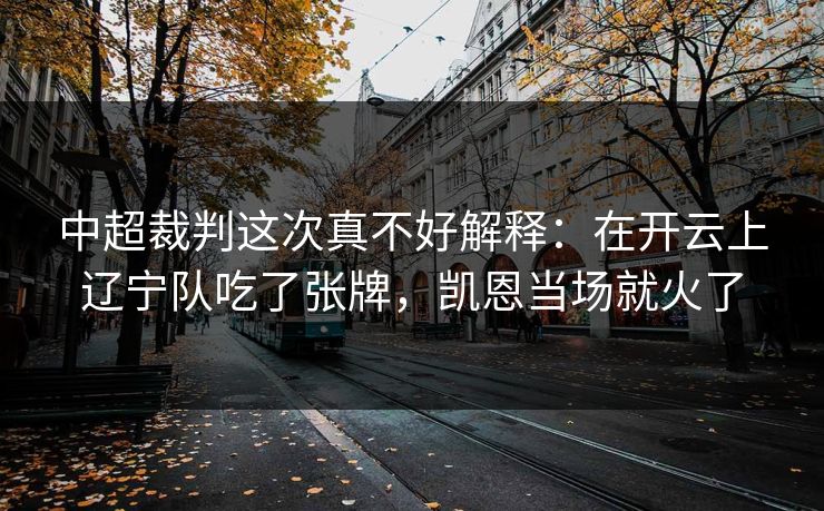中超裁判这次真不好解释：在开云上辽宁队吃了张牌，凯恩当场就火了